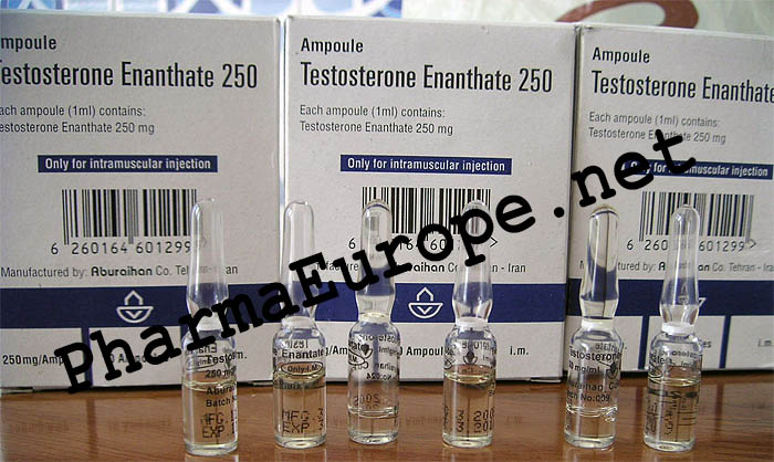 Testosterone Enanthate 250
